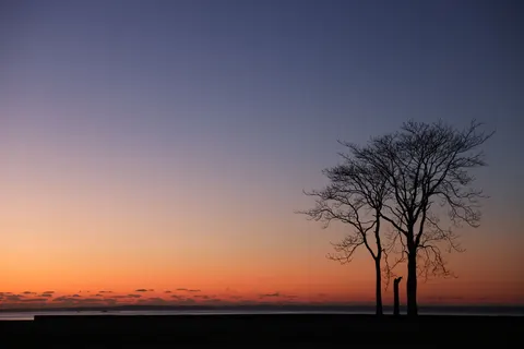 Sunset Silhouette 4K Wallpaper · sunset · 3840×2561