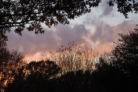 Sunset Silhouette 4K Wallpaper · sunset · 3840×2560