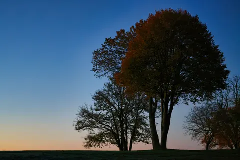 Sunset Silhouette 4K Wallpaper · sunset · 3840×2561