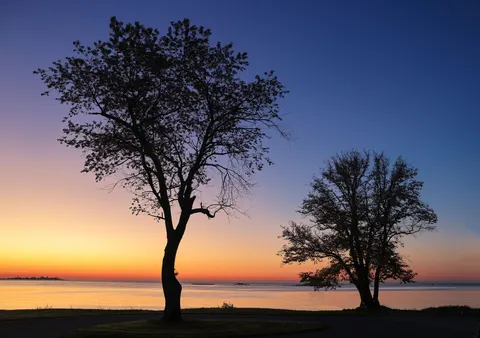 Sunset Silhouette 4K Wallpaper · sunset · 3840×2704