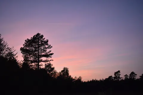 Pink Sunset 4K Wallpaper · sunset · 3840×2560