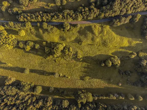 Aerial Forest 4K Wallpaper · aerial · 3840×2880