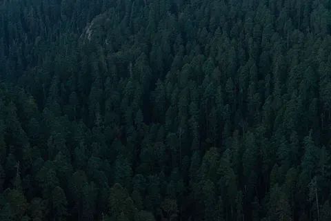 Aerial Forest 4K Wallpaper · aerial · 3840×2560