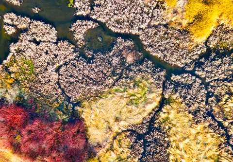 Aerial Forest 4K Wallpaper · aerial · 3840×2667