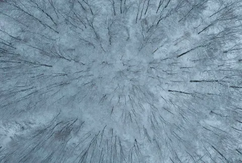 Aerial Forest 4K Wallpaper · aerial · 3840×2589