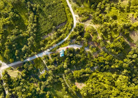 Aerial Forest 4K Wallpaper · aerial · 3840×2743