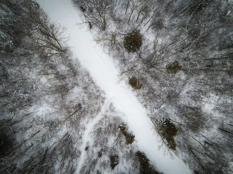 Snowy Forest 4K Wallpaper · winter · 3840×2880
