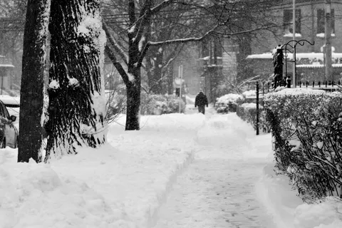 Snowfall 4K Wallpaper · winter · 3840×2560
