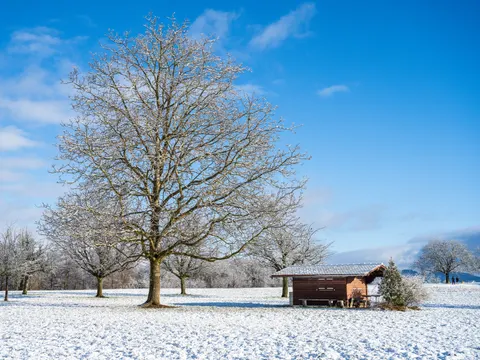 Winter Cabin 4K Wallpaper · winter · 3840×2880