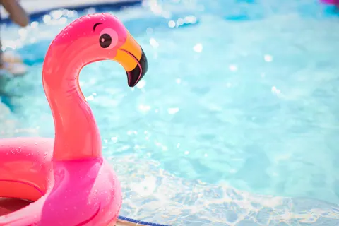 Flamingo Flock 4K Wallpaper · birds · 3840×2560