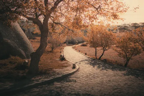 Autumn Park 4K Wallpaper · autumn · 3840×2560