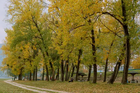 Autumn Park 4K Wallpaper · autumn · 3840×2560