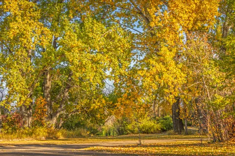 Autumn Park 4K Wallpaper · autumn · 3840×2560