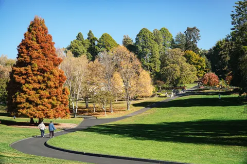 Autumn Park 4K Wallpaper · autumn · 3840×2560