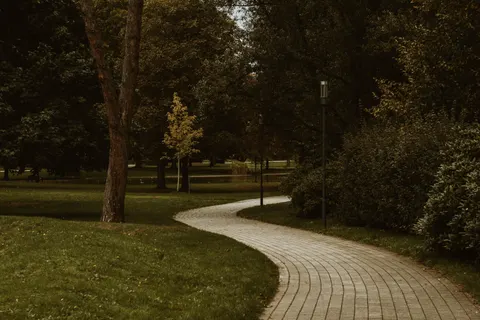 Autumn Park 4K Wallpaper · autumn · 3840×2560