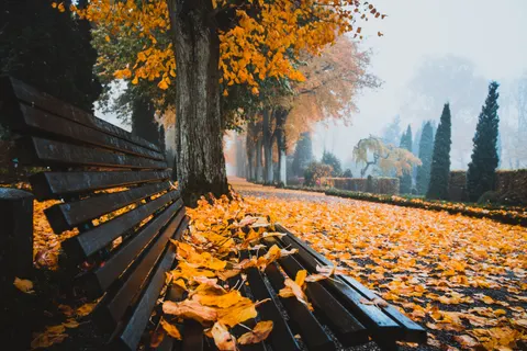 Autumn Park 4K Wallpaper · autumn · 3840×2560