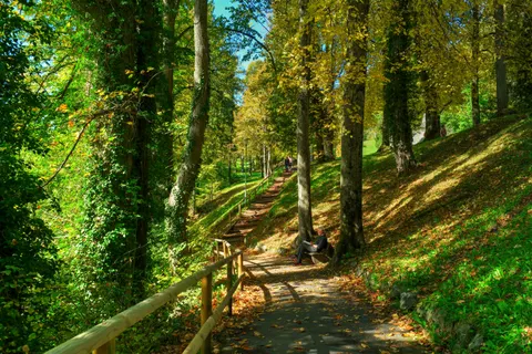 Autumn Park 4K Wallpaper · autumn · 3840×2560