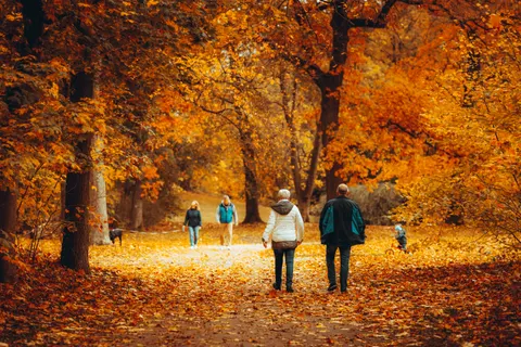 Autumn Park 4K Wallpaper · autumn · 3840×2560