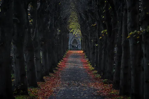 Autumn Park 4K Wallpaper · autumn · 3840×2560