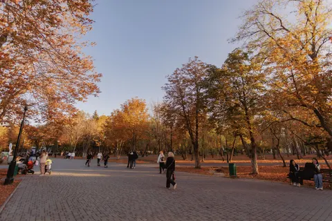 Autumn Park 4K Wallpaper · autumn · 3840×2560