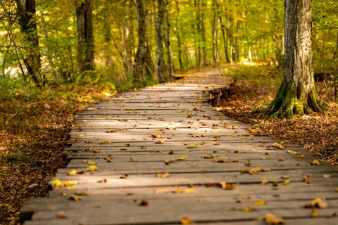 Autumn Park 4K Wallpaper · autumn · 3840×2560