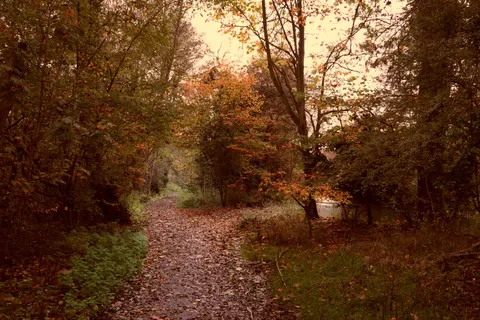 Autumn Park 4K Wallpaper · autumn · 3840×2560