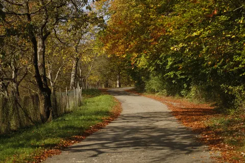 Autumn Park 4K Wallpaper · autumn · 3840×2560