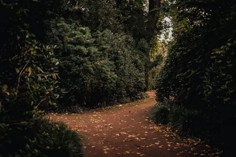 Autumn Park 4K Wallpaper · autumn · 3840×2560