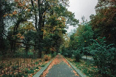 Autumn Park 4K Wallpaper · autumn · 3840×2560