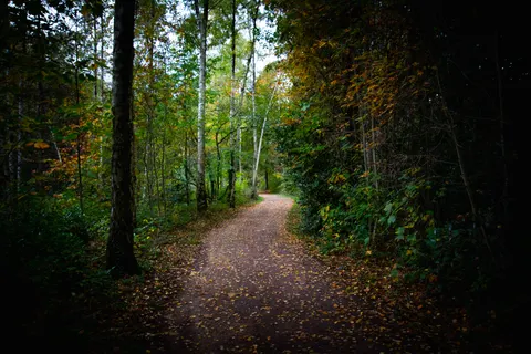 Autumn Park 4K Wallpaper · autumn · 3840×2560