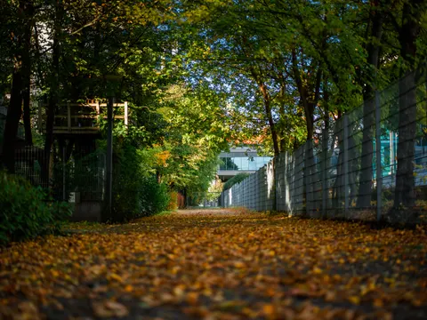 Autumn Park 4K Wallpaper · autumn · 3840×2878