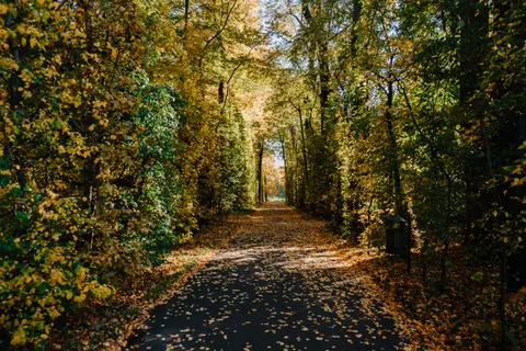 Autumn Park 4K Wallpaper · autumn · 3840×2560