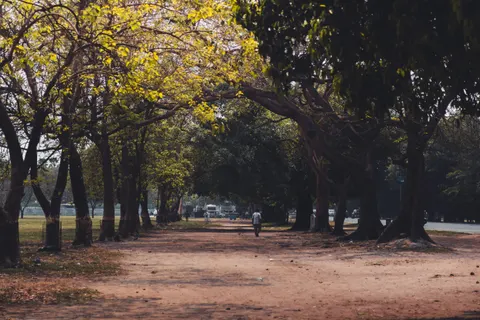 Autumn Park 4K Wallpaper · autumn · 3840×2560