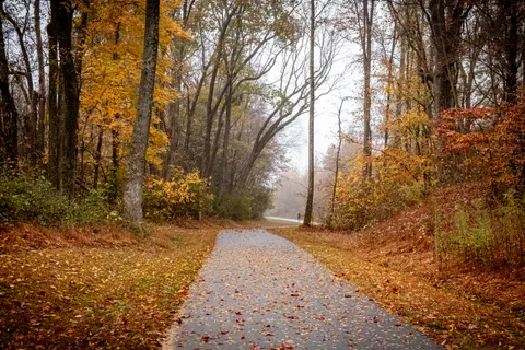 Autumn Park 4K Wallpaper · autumn · 3840×2560
