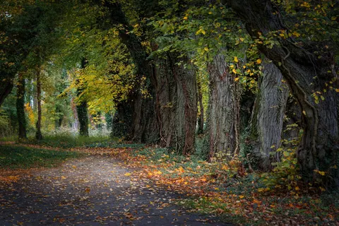 Autumn Park 4K Wallpaper · autumn · 3840×2560