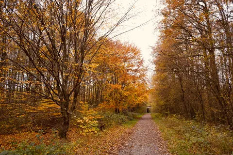Autumn Park 4K Wallpaper · autumn · 3840×2560