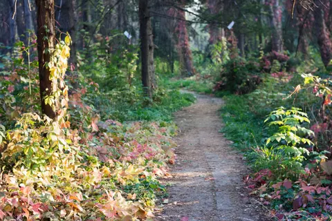 Autumn Park 4K Wallpaper · autumn · 3840×2560