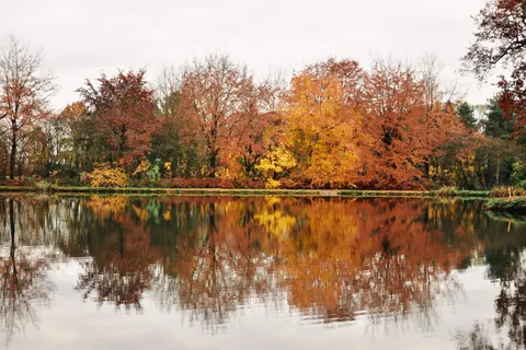 Autumn Lake 4K Wallpaper · autumn · 3840×2560