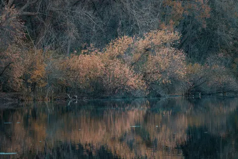 Autumn Lake 4K Wallpaper · autumn · 3840×2560