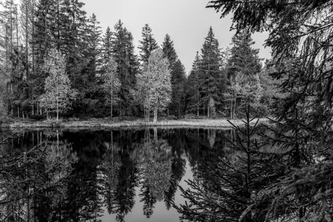 Autumn Lake 4K Wallpaper · autumn · 3840×2558