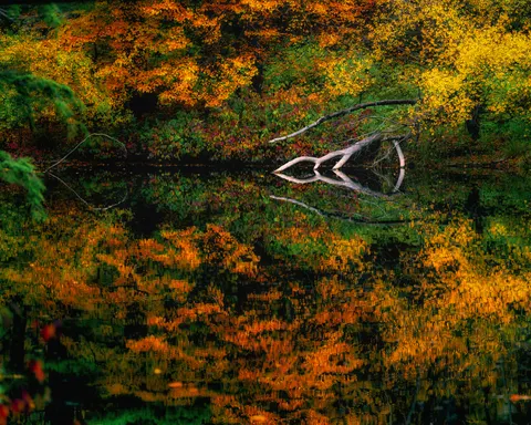 Autumn Lake 4K Wallpaper · autumn · 3840×3072