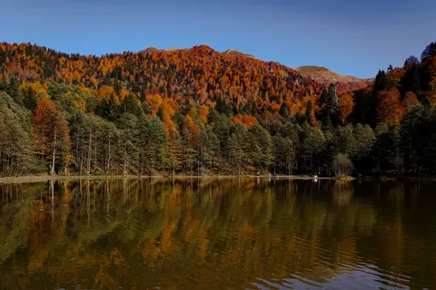 Autumn Lake 4K Wallpaper · autumn · 3840×2560