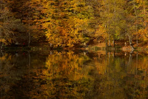 Autumn Lake 4K Wallpaper · autumn · 3840×2560