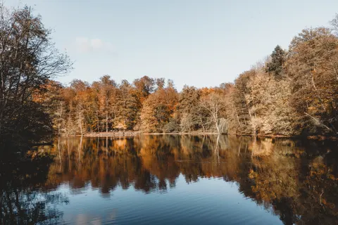 Autumn Lake 4K Wallpaper · autumn · 3840×2560