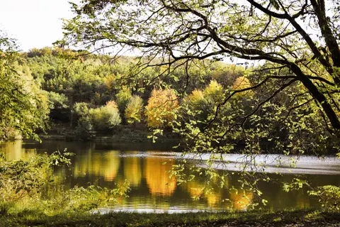 Autumn Lake 4K Wallpaper · autumn · 3840×2560