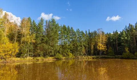 Autumn Lake 4K Wallpaper · autumn · 3840×2245