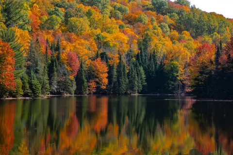 Autumn Lake 4K Wallpaper · autumn · 3840×2560