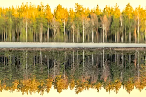 Autumn Lake 4K Wallpaper · autumn · 3840×2560