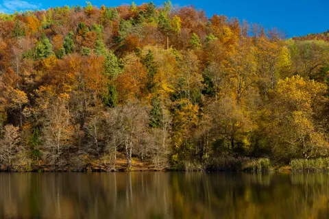 Autumn Lake 4K Wallpaper · autumn · 3840×2560