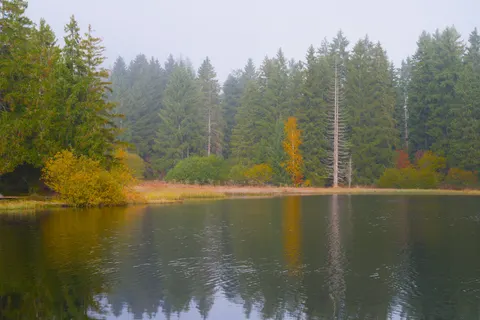 Autumn Lake 4K Wallpaper · autumn · 3840×2558